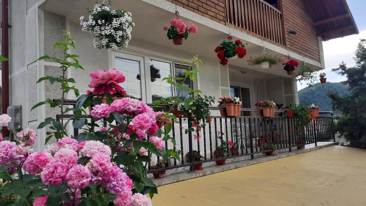 Hotel Vila Nadia Oesti-Paminteni Exterior foto